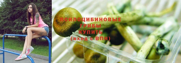 МДПВ Лагань