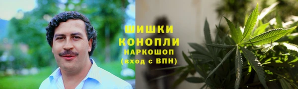 МДПВ Лагань