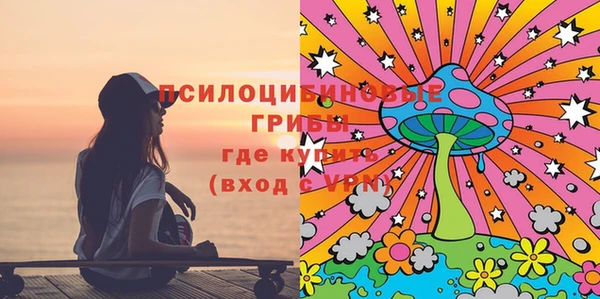мескалин Лабытнанги