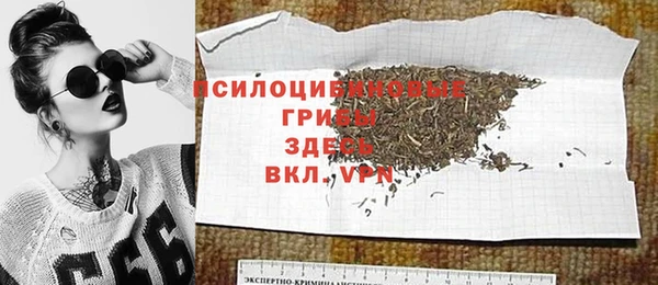 мескалин Лабытнанги