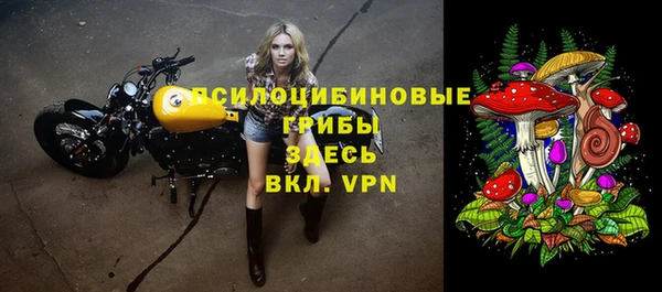 МДПВ Ладушкин